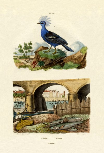 ガジョン、1833-39 作： French School